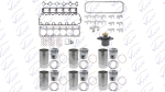 Media Reparacion Navistar DT466E NV1888653=JJ1836195C98. PAI