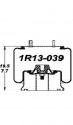 Bolsa Suspension Hendrickson 1R13-039=9121=64272=S13160=AB1D28G-9121=11 10.5-17A317=1K19L-7 Goodyear