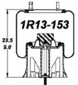 Bolsa Suspension Neway 1R13-153=8749=64419=90557168=AB1DK25C-8749=1K17B-11 Goodyear