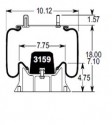 Bolsa Suspension Hendrickson 1R12-421=9010=S11566=64258=910-14P345=566.CT64258 Firestone