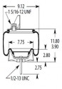 Bolsa Suspension Kenworth C811005=1R11-268=9547=9541=SP 559541-KP=1K15LA-0 Firestones