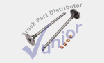 Kit Valvula Admision 20° Cummins Serie N14 CUM3803854