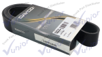 Banda 10PK1805=10K710 Dayco