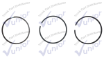Anillos Motor 6C/ISC CUM3802429. Excel Pai