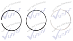 Jgo Anillos Cummins Serie L10, M11, ISM CUM3803961. Excel Pai