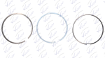 Jgo Anillos Piston Motor Detroit DD15 DI:139mm JJA4720300624. PAI