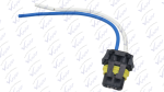 Arnes 2 Pines para Socket HBA 9006 JJW094209. Edtp