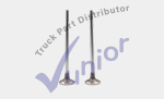 Valvula Escape Con Cuñas Cummins Serie L10, M11, ISM 3803310=3065903=3800638 Pai